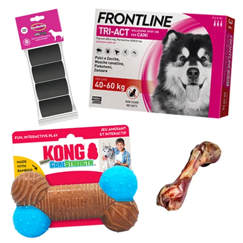 Kit Cane da 40 a 60 kg | AlanDog