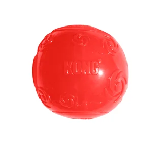 Kong Cane Squeezz Ball