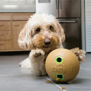 Kong Cane Bamboo Feeder Ball - Foto 2 | AlanDog