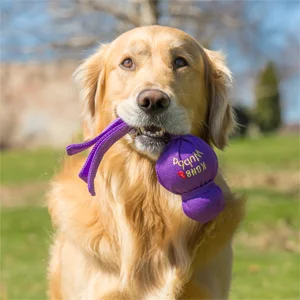 Kong Cane Interattivo Wubba