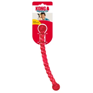 Kong Cane Safestix