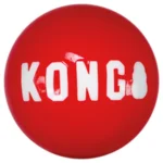 Kong Cane Signature Ball