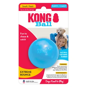 Kong Palla con Foro per Cuccioli