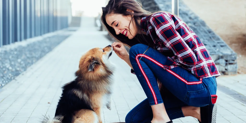 10 Facili e Divertenti Trucchi da Addestrare al Tuo Cane 1 10 Facili e Divertenti Trucchi da Addestrare al Tuo Cane