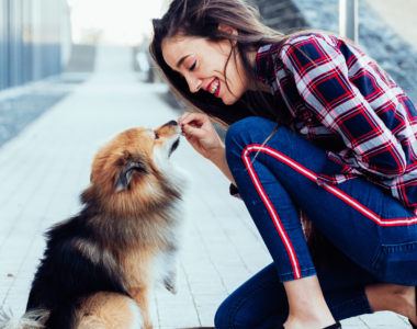 10 Facili e Divertenti Trucchi da Addestrare al Tuo Cane