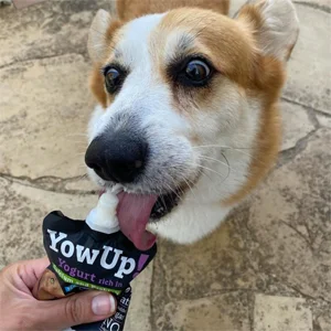 YowUp Yogurt per Cani con Probiotici 10 Bustine da 115 gr