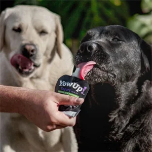 YowUp Yogurt per Cani con Probiotici 10 Bustine da 115 gr - YowUp! - Foto 1 | AlanDog