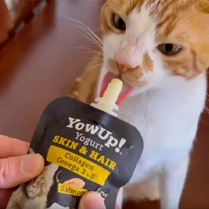 YowUp Yogurt Gatto con Salmone Cute e Pelo - YowUp! - Foto 1 | AlanDog