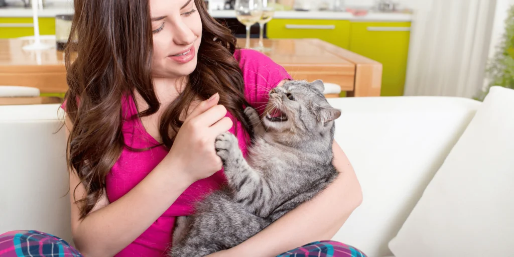 7 cose che i gatti odiano