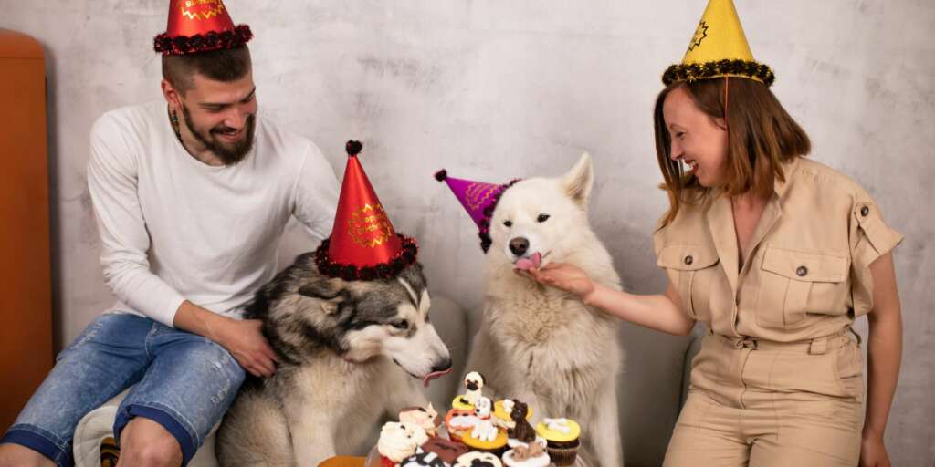 Festeggiare compleanno cane 20230829 073807 0000 scaled large