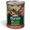 Monge Bwild Grain Free Formula All Breeds Cane Adulto Agnello con zucca e zucchine | AlanDog