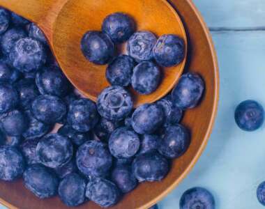 I gatti possono mangiare i mirtilli