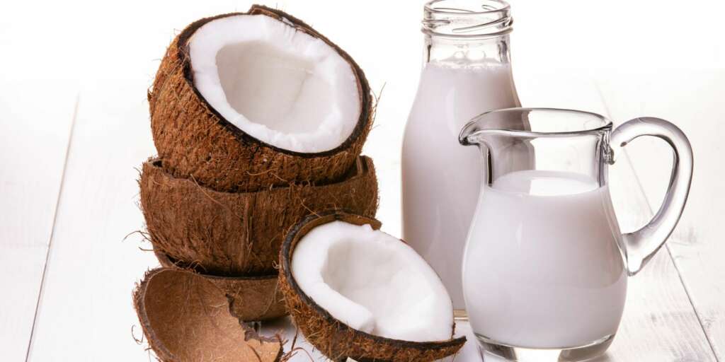 I gatti possono mangiare il cocco