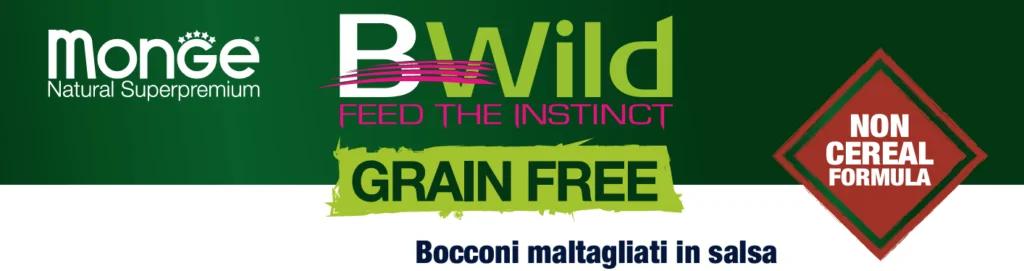 Monge Bwild Grain Free Formula All Breeds Cane Adulto Agnello con zucca e zucchine