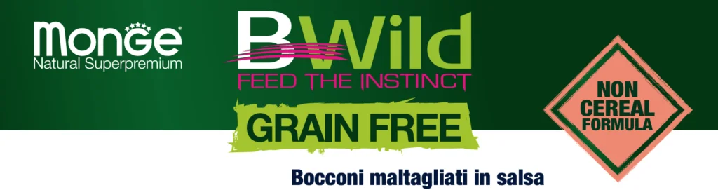 Monge Bwild Grain Free All Breeds Cane Adulto Salmone con zucca e zucchine Umido