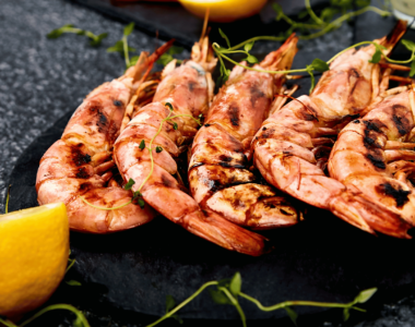 cani possono mangiare gamberi