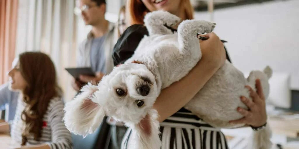 Il rapporto tra animali domestici e bambini: come favorire un legame positivo 1 come introdurre animale domestico in casa