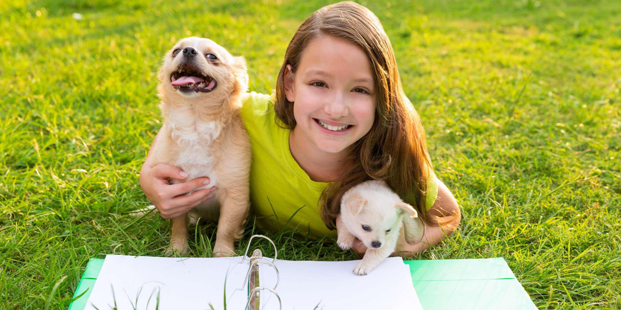 Primo cane: tutto ciò che si dovrebbe sapere 