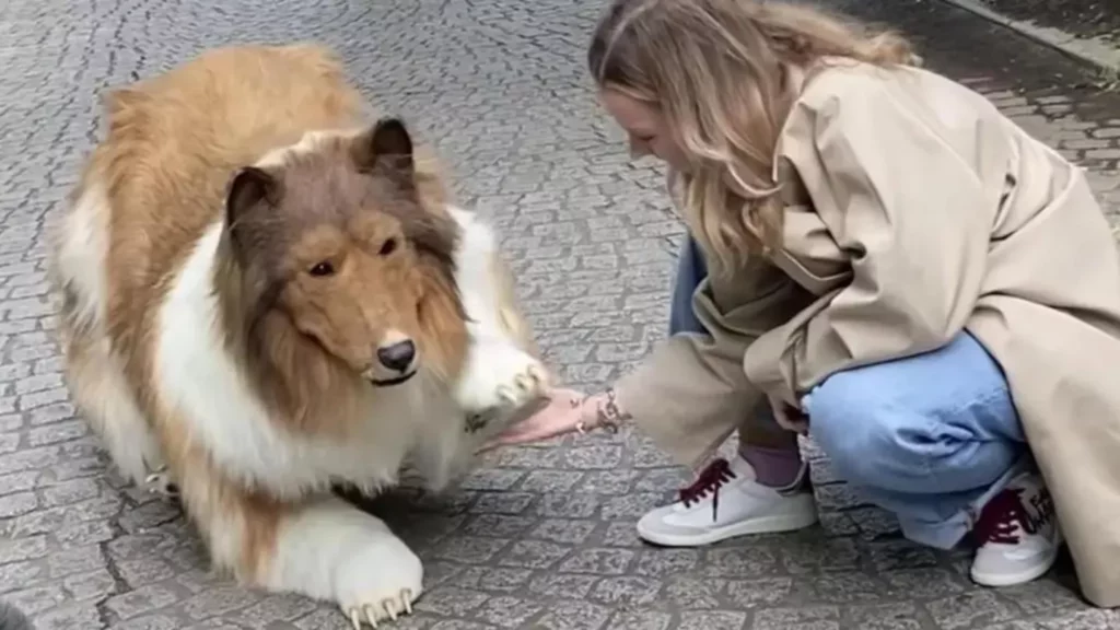 Toco, l'uomo cane: Giapponese ha investito 13000€ per diventare un collie 1 1440x810 cmsv2 35ae5ff8 a2c1 5228 a0ca c1c176c15a0a 7796116 large