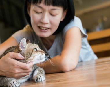 Coccolatore di gatti un nuovo lavoro da sogno