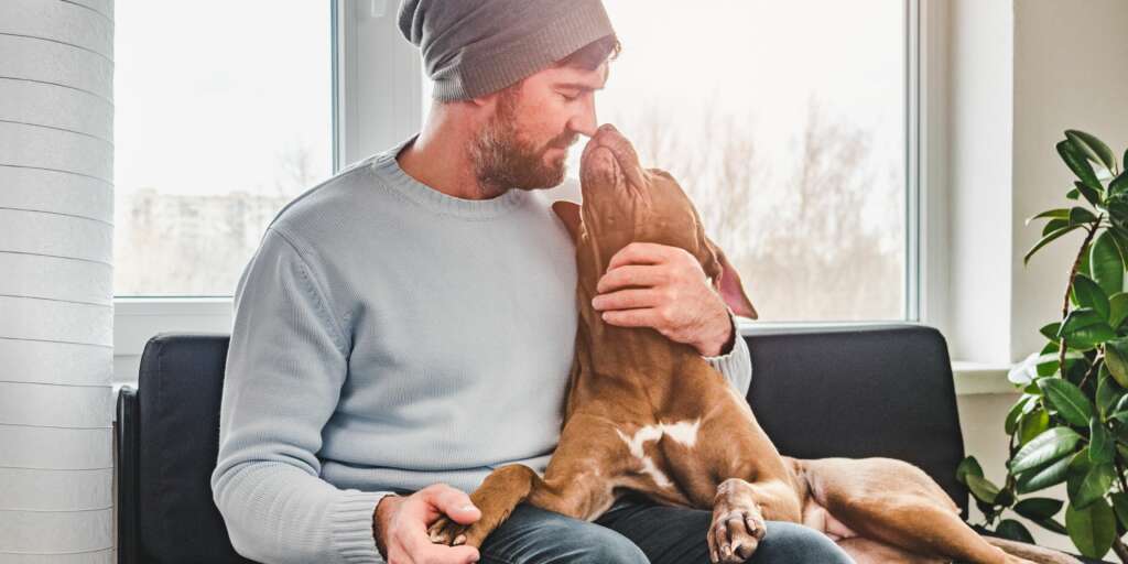 Come mostrano il loro amore i cani? 12 modi in cui lo dimostrano 1 Come mostrano il loro amore i cani 12 modi in cui lo dimostrano