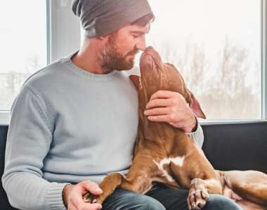 Come mostrano il loro amore i cani 12 modi in cui lo dimostrano