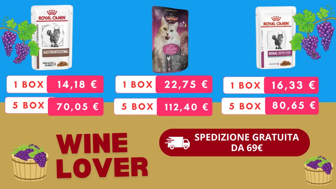 Gatto wine lover promo mobile
