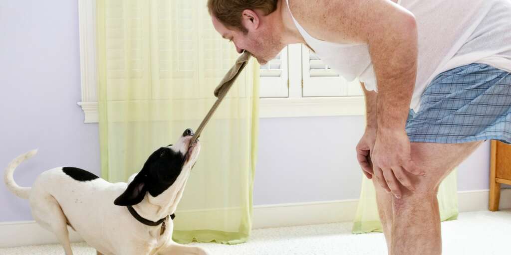 Una domanda che ci siamo posti tutti perché il mio cane mangia i miei calzini