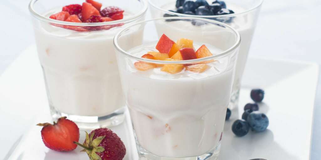 cane può mangiare yogurt