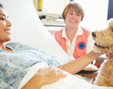 dolore fisico potrebbe essere alleviato dall'affetto dei cani