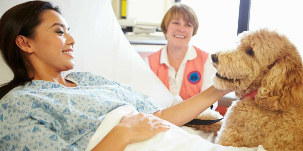 Un nuovo studio ha scoperto che il dolore fisico potrebbe essere alleviato dall'affetto dei cani 1 dolore fisico potrebbe essere alleviato dall'affetto dei cani