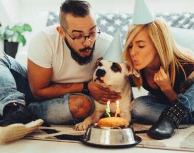 giornata mondiale del cane