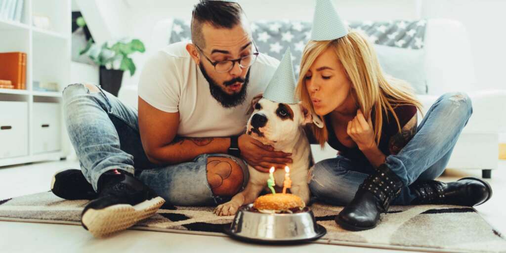 giornata mondiale del cane