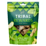 Tribal Biscotti con Mela Menta e Zenzero