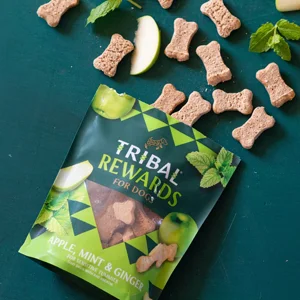 Tribal Biscotti con Mela Menta e Zenzero - Foto 3 | AlanDog