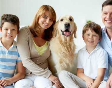 6 benefici della compagnia di un cane