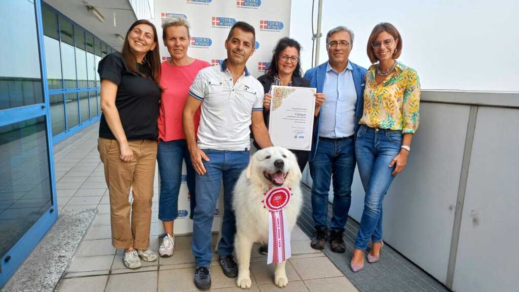 Cafaggio pastore Maremmano Abruzzese