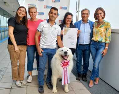 Cafaggio pastore Maremmano Abruzzese