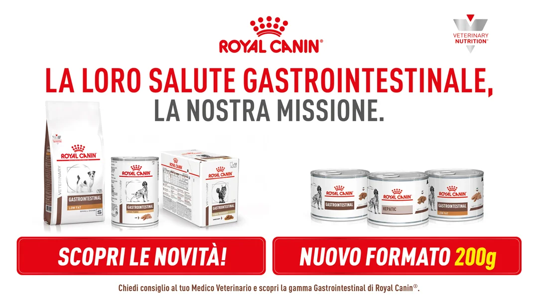 Gastro NUOVI LANCI-Banner_ecomm_Q4_Gastro_innovazioni_1080x608