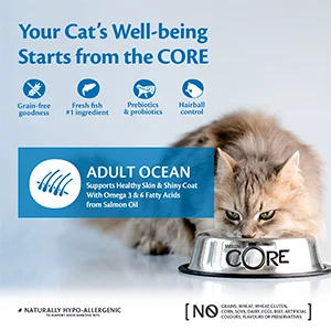 Wellness Core Cat Ocean Salmone e Tonno crocchette - Foto 2 | AlanDog