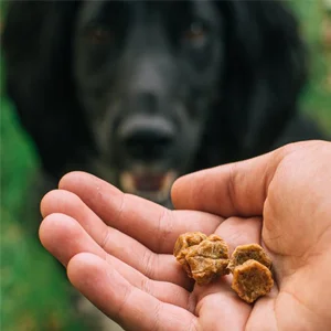 Tribal Trainer Bocconcini per Cani con Tacchino e Mirtillo Rosso - Foto 1 | AlanDog