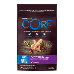 core large breed puppy wellness core italia 1