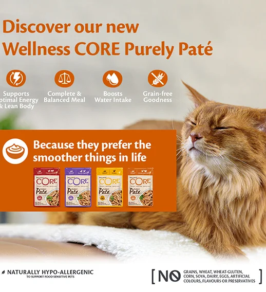 Scopri il Segreto per un Gatto più Felice e Sano 5 linea purely pate
