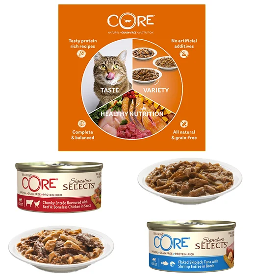 Scopri il Segreto per un Gatto più Felice e Sano 4 linea signature 1