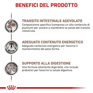 Royal Canin VHN Gastro Intestinal Fibre Response Gatto Umido - Foto 3 | AlanDog
