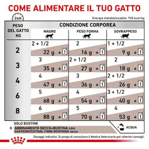 Royal Canin VHN Gastro Intestinal Fibre Response Gatto Umido - Foto 1 | AlanDog