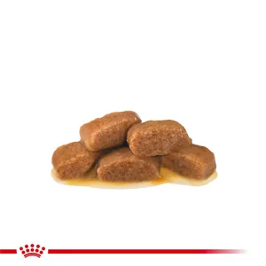Royal Canin VHN Gastro Intestinal Fibre Response Gatto Umido - Foto 7 | AlanDog