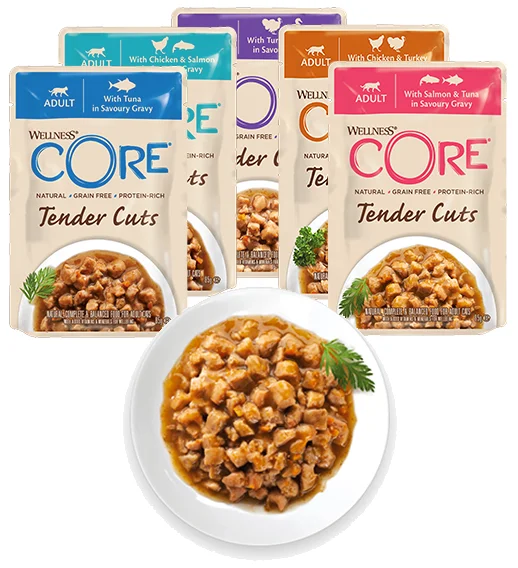 Scopri il Segreto per un Gatto più Felice e Sano 7 teneder cuts linea wellness core