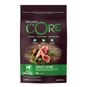 wellness core cane adult agnello all breed 10 KG