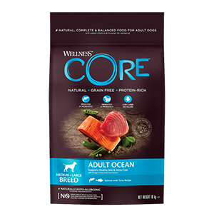 Wellness Core Cane Adult Ocean Crocchette